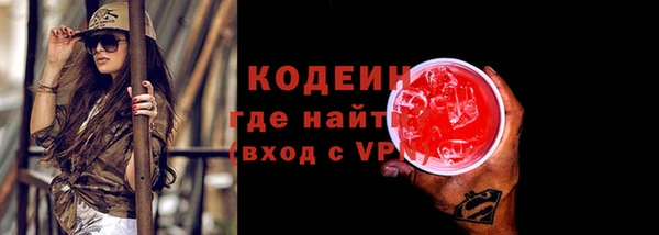 хмурый Бородино