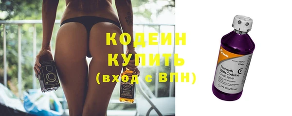 хмурый Бородино