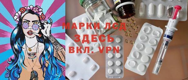 хмурый Бородино
