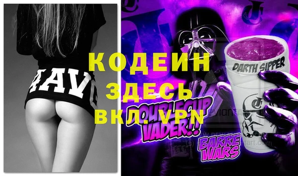 хмурый Бородино