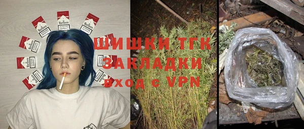 хмурый Бородино