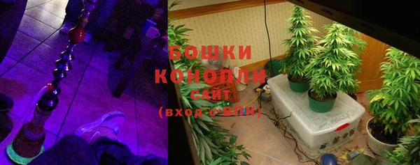 хмурый Бородино
