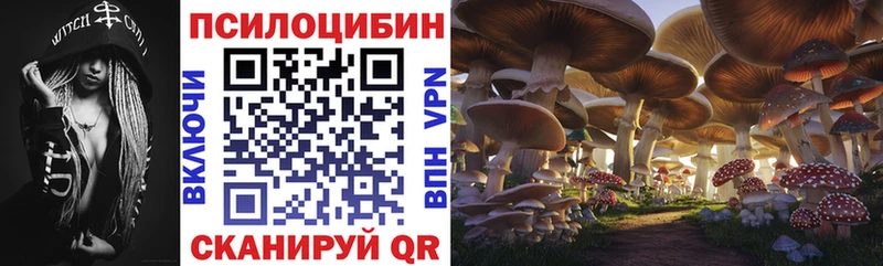 сайты даркнета наркотические препараты  наркошоп  Юхнов  Галлюциногенные грибы Cubensis 
